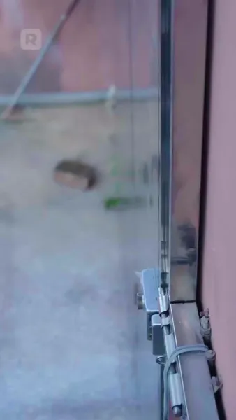 พ่อจ๊ะ ลูกแก้วห้าคน มาแล้วนะ!