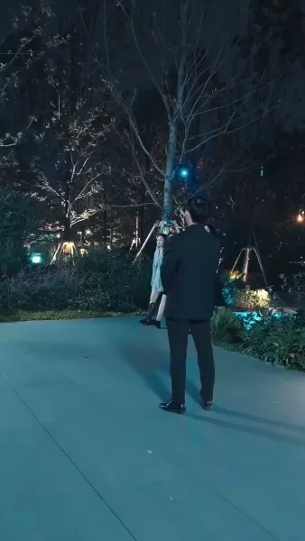 แต่งงานสายฟ้าแลบกับ มหาเศรษฐีลึกลับ