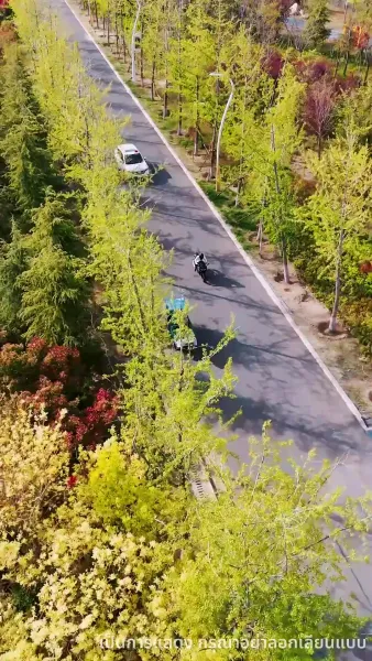 เกมรักลวงใจ 99 ครั้ง