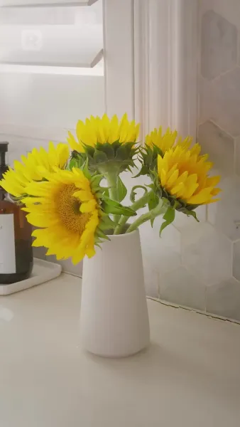 ลูกชายท่าน ส.ว.