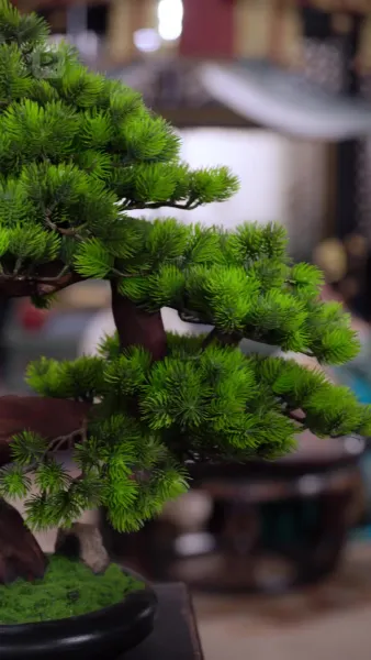 เกิดใหม่สลับคู่แต่งงาน องค์รัชทายาทชะตาสั้นกลับอายุยืน