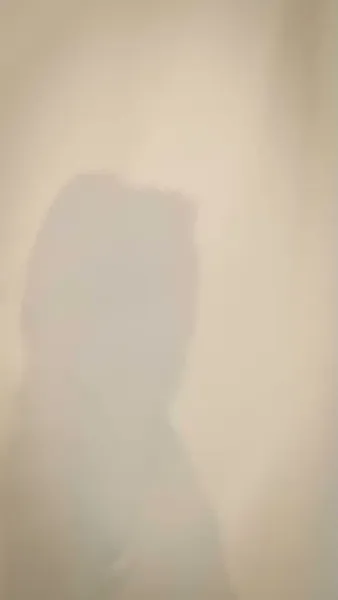 พรหมลิขิตลวงใจ