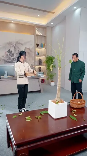 ตำนานลิ้มยิ้ม：เริ่มต้นด้วยงานประจำ