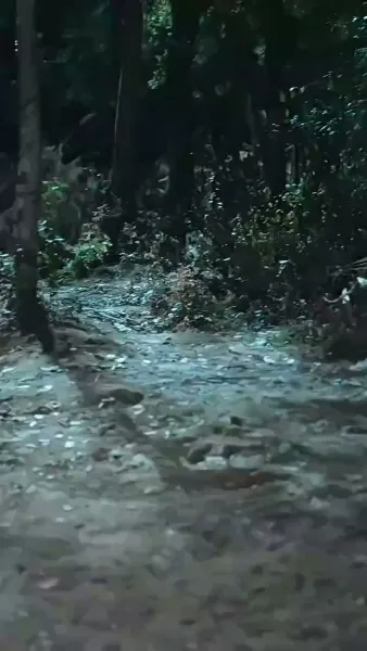 จากชาวนาเป็นมหาบุรุษด้วยระบบแต่งภรรยา