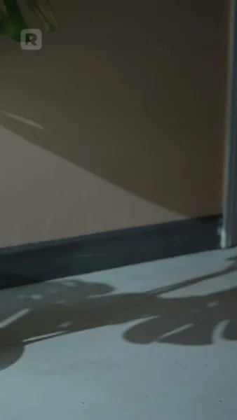 ฉันแต่งงานโดยไม่มีคุณ