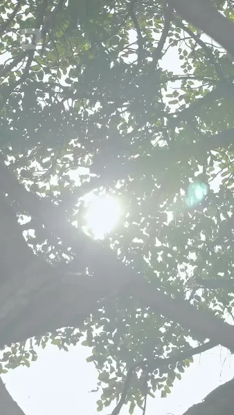 ฉันแต่งงานโดยไม่มีคุณ