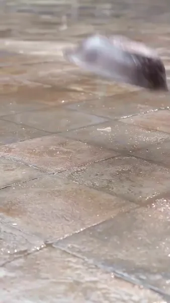 ข้ามภพมารักษ์ใจ