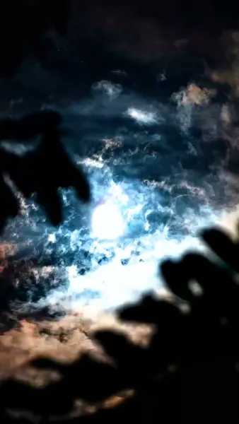 ข้ามภพมารักษ์ใจ