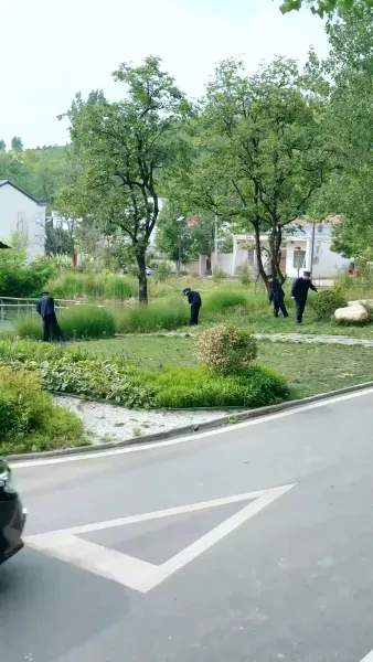 ระยะหัวใจ ไร้วันหวนคืน