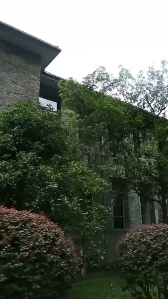 วังวนเสน่หา