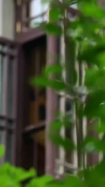 วังวนเสน่หา