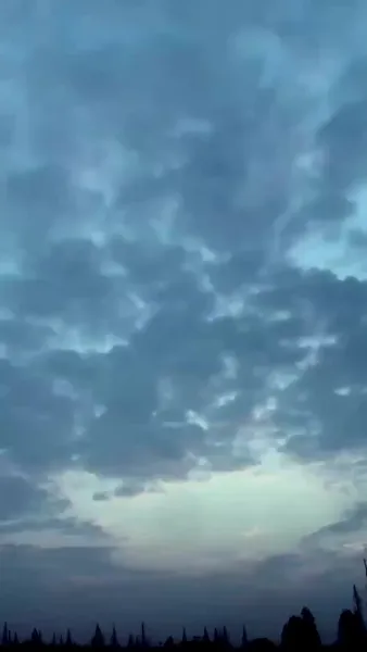 วังวนเสน่หา