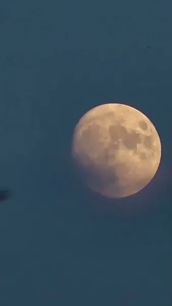 วังวนเสน่หา