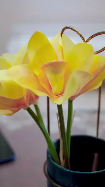 ลีเชียนจิ้งเชียนหลงฉู่ทะเล