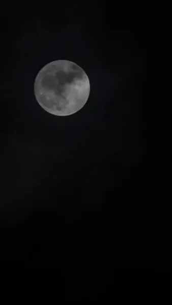 เกิดใหม่ พี่ชายร้องไห้ขอโทษไม่หยุด