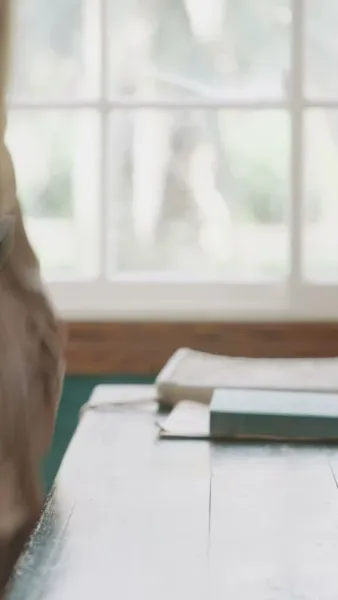 การฟื้นคืนของแม่เผ่า волฟ