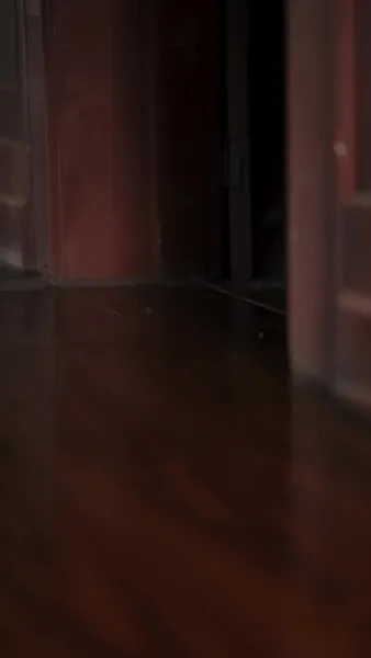 คำสาปของมะลิ