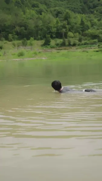 ไข่มุกต้องห้าม