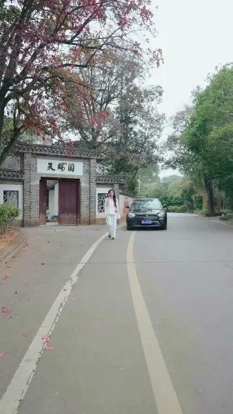 ตามหาที่พึ่งแท้