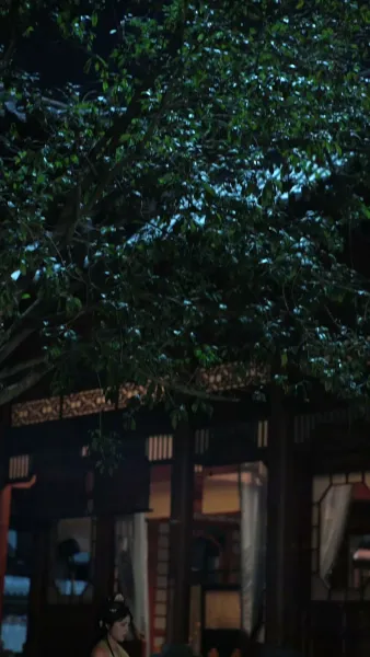 ชาตินี้ ข้าเป็นเมียหลวงแห่งจวนโหว