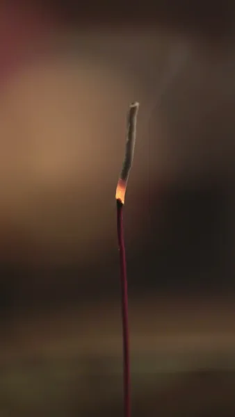 ชาตินี้ ข้าเป็นเมียหลวงแห่งจวนโหว