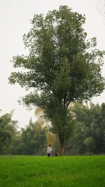 บ้านนี้มีรัก