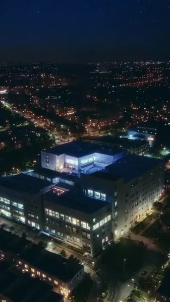 ความรักของคนโง่