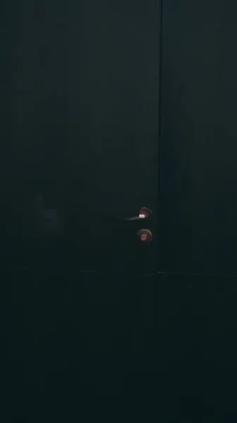 ความรักของคนโง่