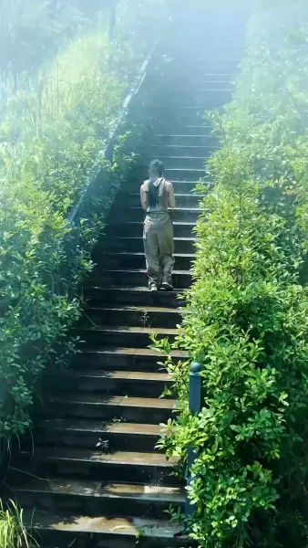 รักซ้อนทะเบียน