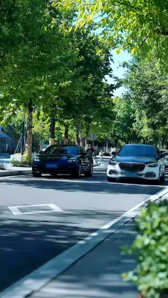 รักซ้อนทะเบียน