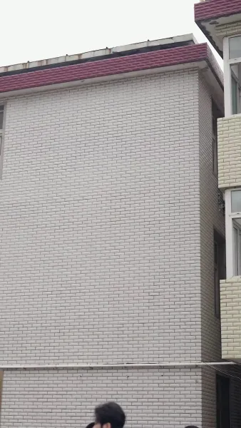 สายลมหวนรัก 