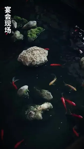 ซุปเปอร์สตาร์สาวตามจีบหลังผมเป็นเศรษฐี