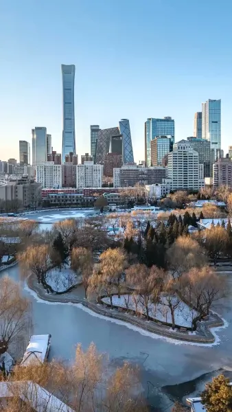 กุหลาบเคียงสน(พากย์ไทย)