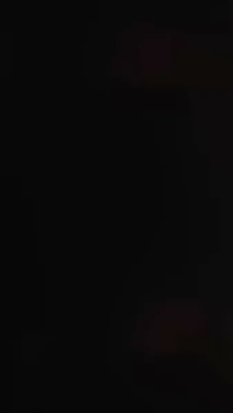 กุหลาบเคียงสน(พากย์ไทย)