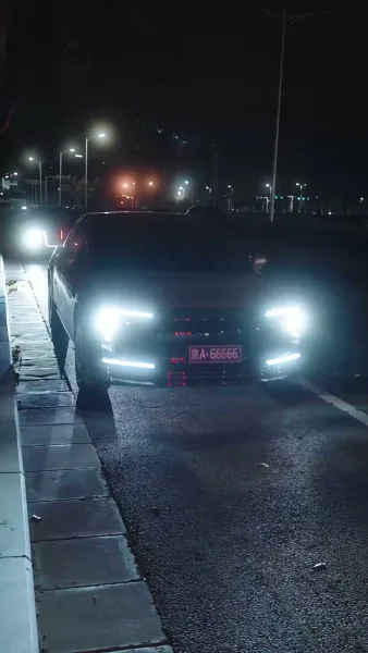 กุหลาบเคียงสน(พากย์ไทย)