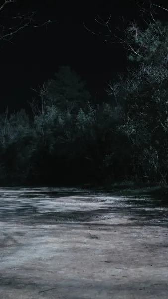 จุติใหม่ในตำแหน่งขุนนางชั้นผู้ใหญ่