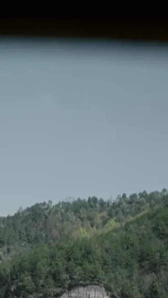 จุติใหม่ในตำแหน่งขุนนางชั้นผู้ใหญ่