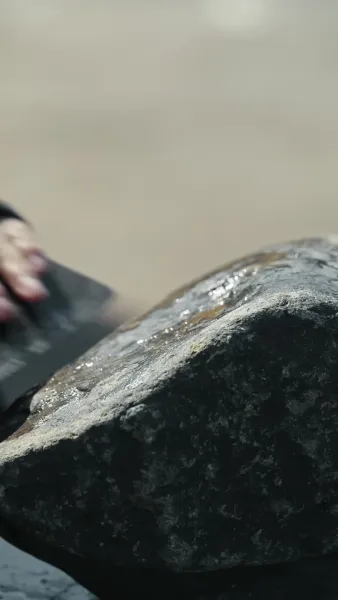 จุติใหม่ในตำแหน่งขุนนางชั้นผู้ใหญ่