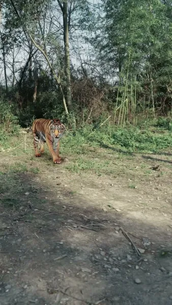 จุติใหม่ในตำแหน่งขุนนางชั้นผู้ใหญ่