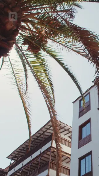 รักต้องห้ามกับมหาเศรษฐีอันตราย