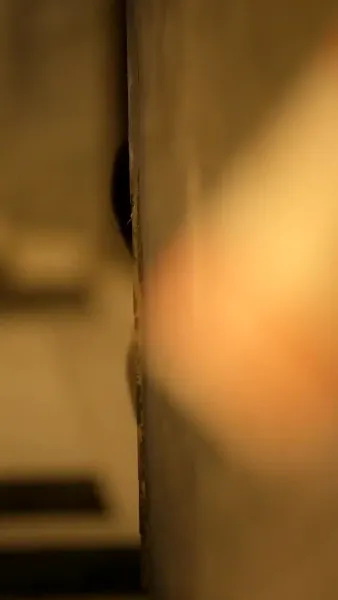 เมื่อฉันต้องมาเป็นแม่เลี้ยง