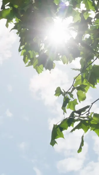 เธอใช้เวทอำนาจครองโลกยุคใหม่