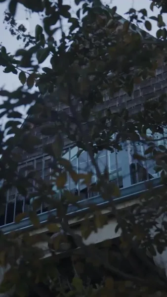 อัลฟ่าและรักที่กล้ำกลืน