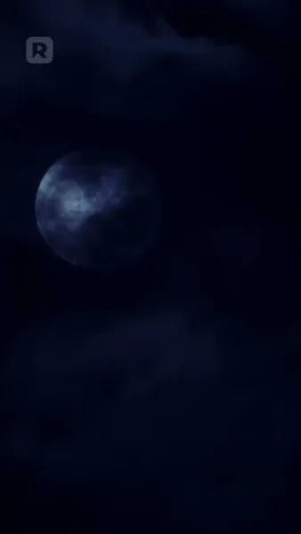 อัลฟ่าและรักที่กล้ำกลืน