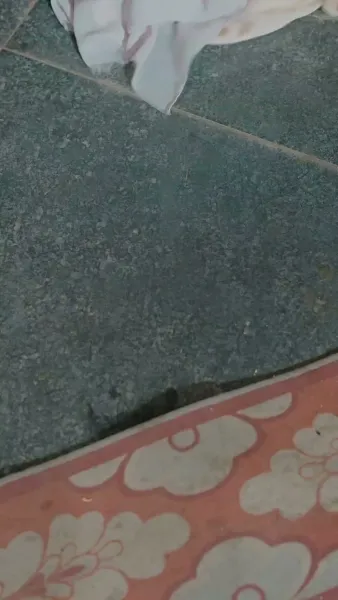 ภารกิจรักข้ามมิติ