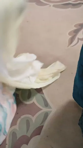 ภารกิจรักข้ามมิติ