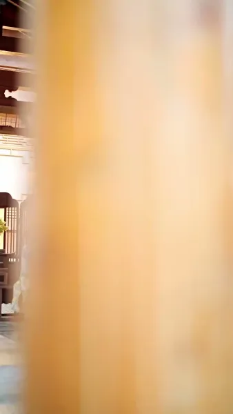 แย่แล้วท่านแม่ทัพ คุณหนูพาฮูหยินหนีออกจวน