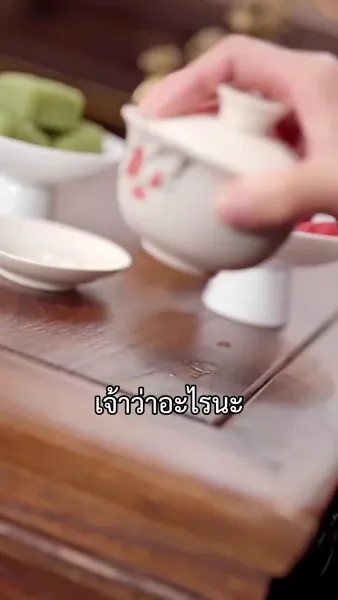 แย่แล้วท่านแม่ทัพ คุณหนูพาฮูหยินหนีออกจวน