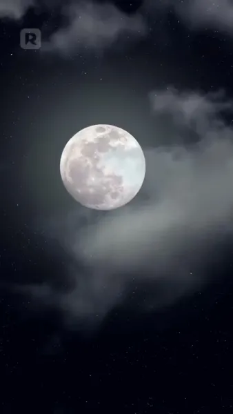 ชะตารักครั้งใหม่