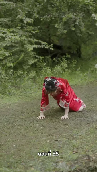 ดอกไม้ในสายหมอก